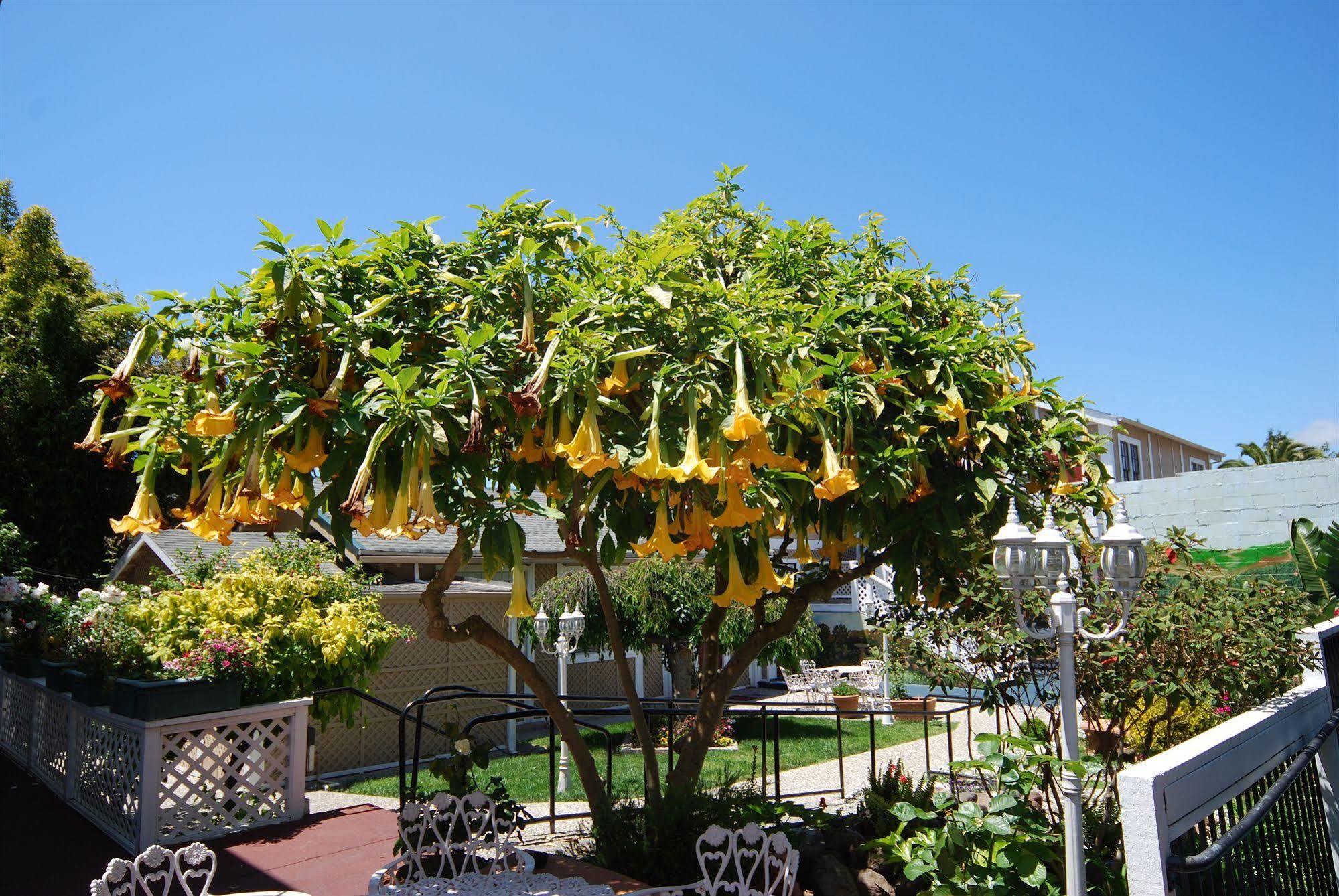 Rose Garden Hotel Berkeley